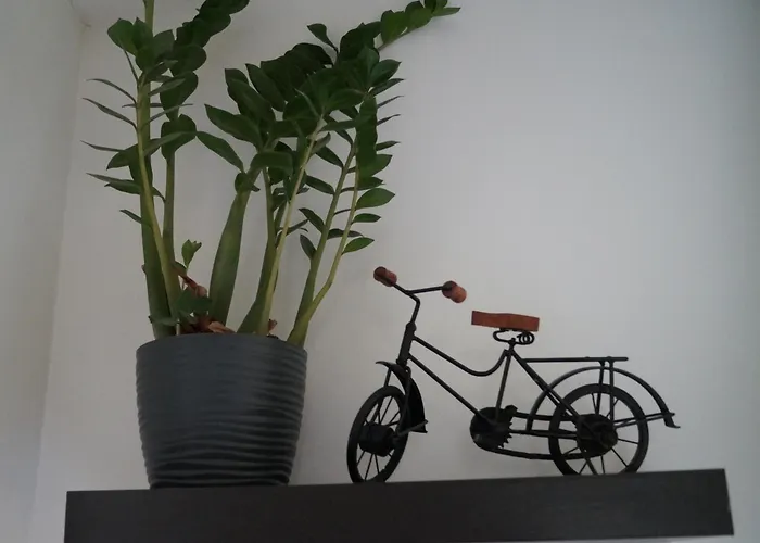 De Gasterei Konukevi